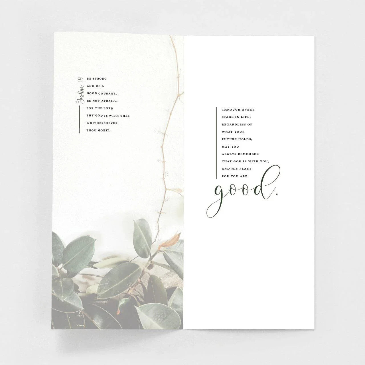 Beginnings and Endings Greeting Card - Beginnings and Endings Greeting Card - Default Title - Salt and Honey