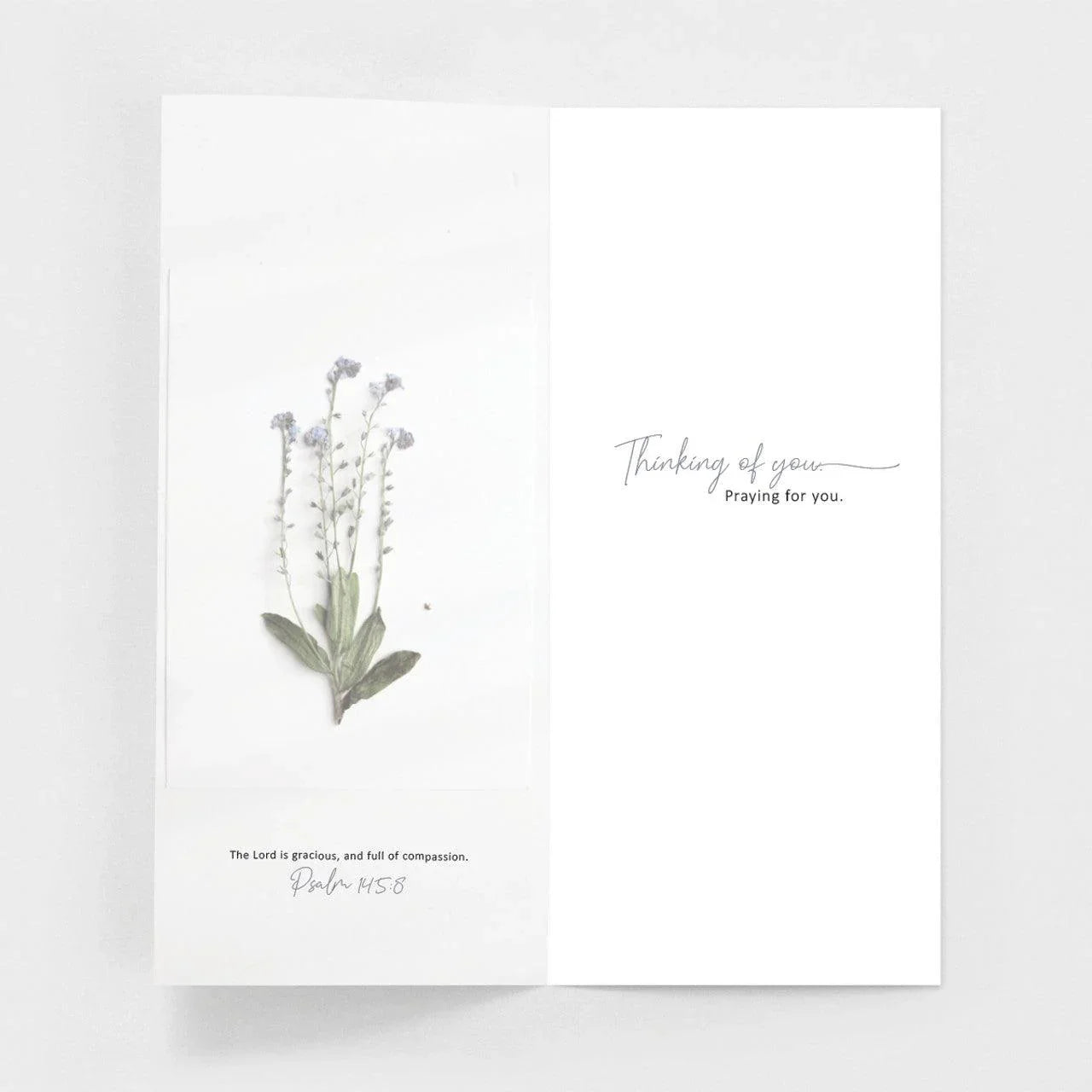 Brought to Mind "Just Because" Greeting Card - Brought to Mind "Just Because" Greeting Card - Default Title - Salt and Honey