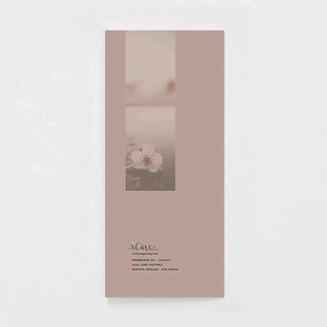 Minimalist sympathy greeting card with a single white flower on mauve background, Salt and Honey