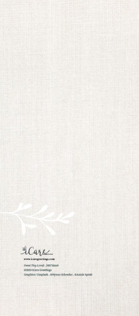 Minimalist textured cream background with subtle white botanical graphic and small text at bottom