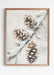 Winter Pinecone Art Print - Winter Pinecone Art Print - Default Title - Salt and Honey