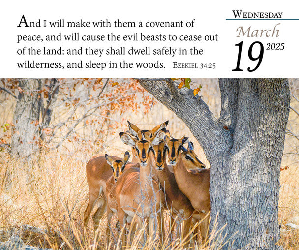 2025 Verse for the Day Bible Calendar with KJV Scripture