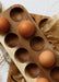 Wooden Egg Storage Tray - Wooden Egg Storage Tray - Default Title - Salt and Honey