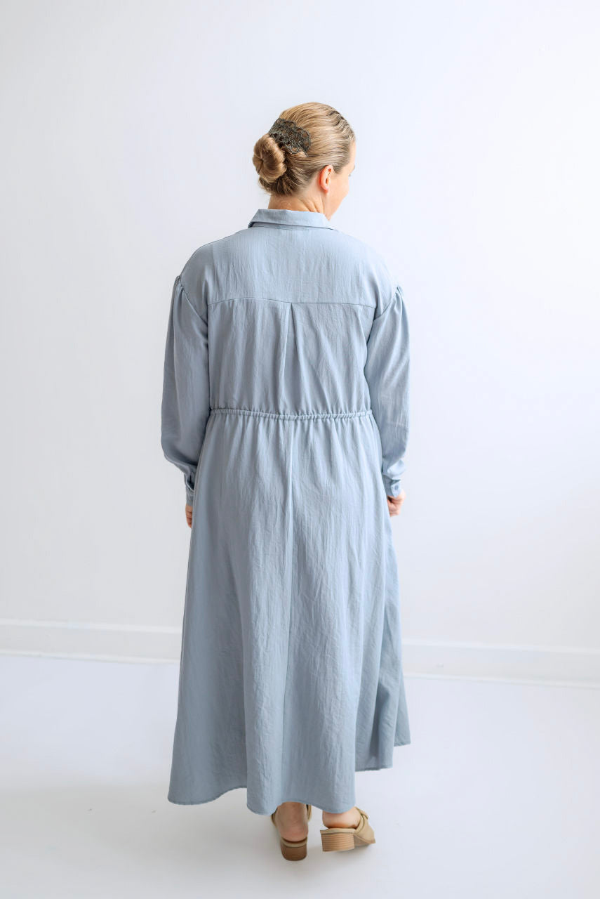 Cassandra Button Dress in Blue Willow