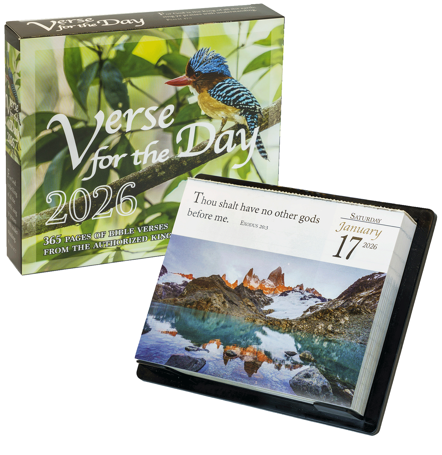 2026 Verse for the Day Bible Calendar - 2026 Verse for the Day Bible Calendar - Default Title - Salt and Honey