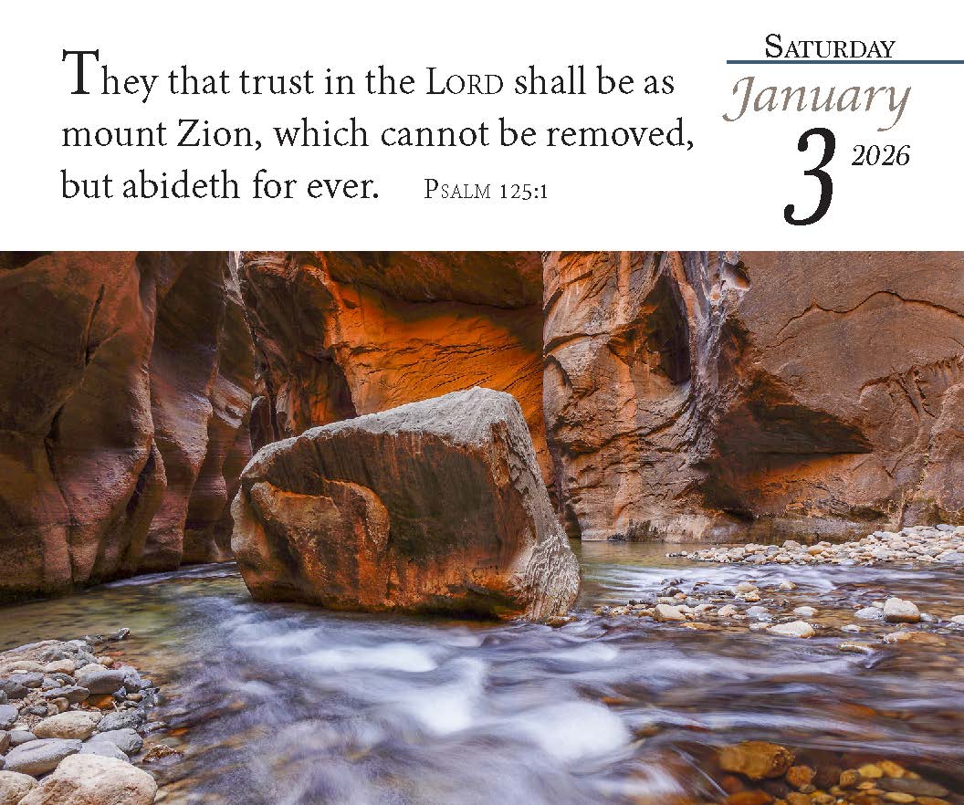 2026 Verse for the Day Bible Calendar - 2026 Verse for the Day Bible Calendar - Default Title - Salt and Honey