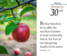 2026 Verse for the Day Bible Calendar - 2026 Verse for the Day Bible Calendar - Default Title - Salt and Honey