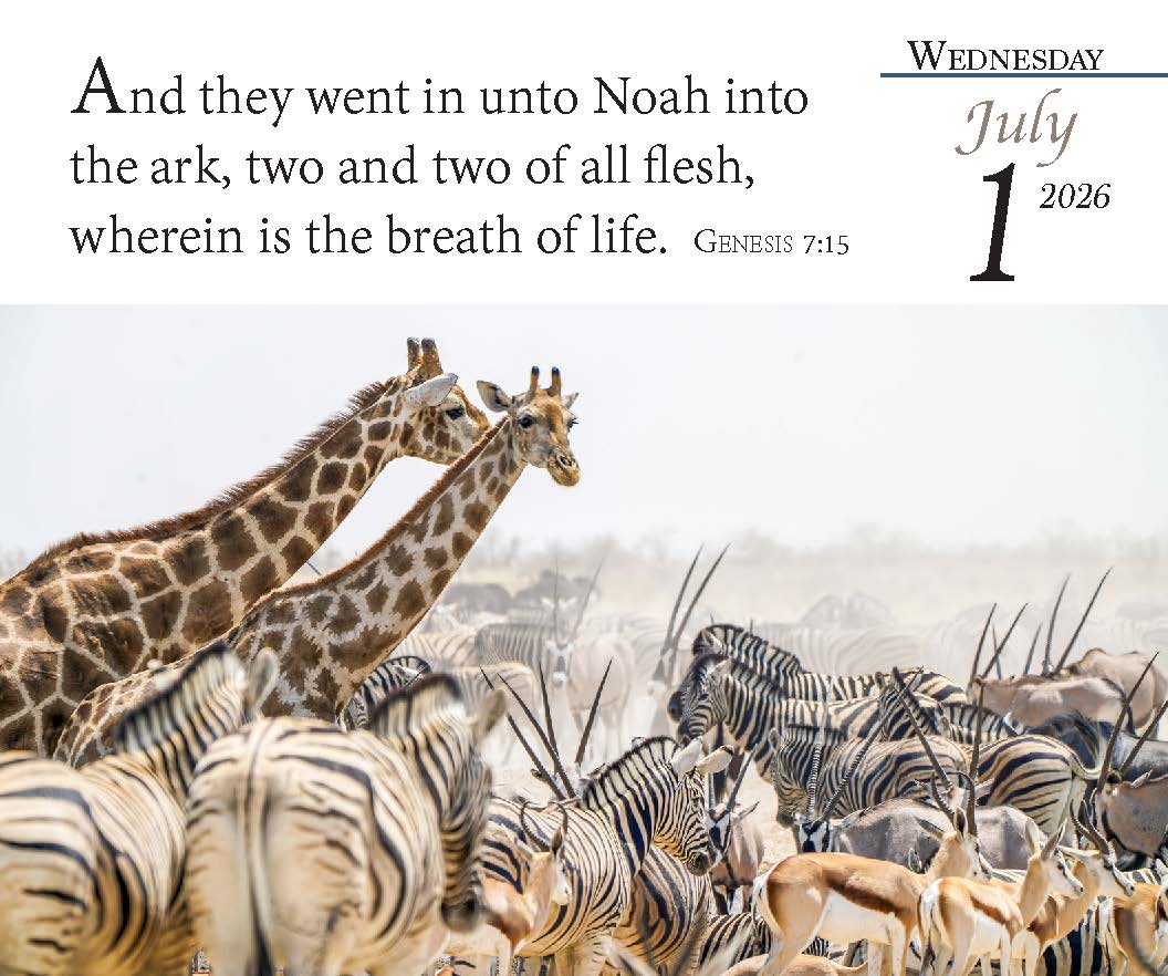 2026 Verse for the Day Bible Calendar - 2026 Verse for the Day Bible Calendar - Default Title - Salt and Honey