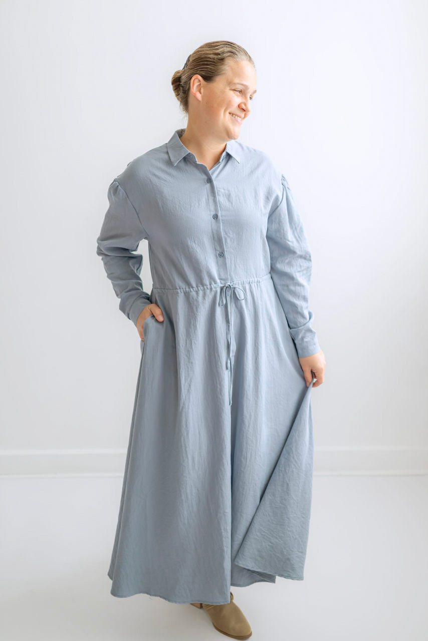 Cassandra Button Dress in Blue Willow