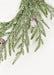 Decorative greenery with pinecones on a white background