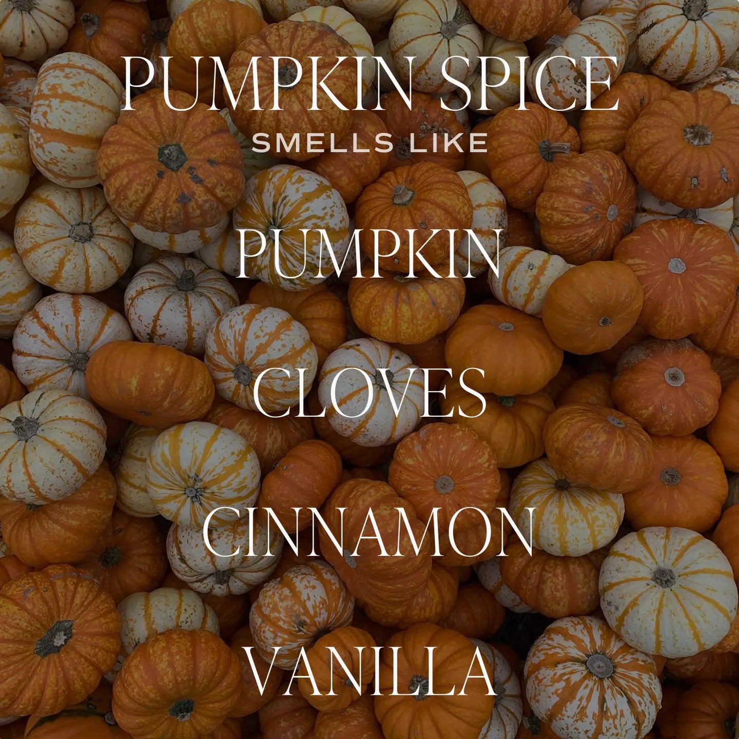 Pumpkin Spice Air Freshener