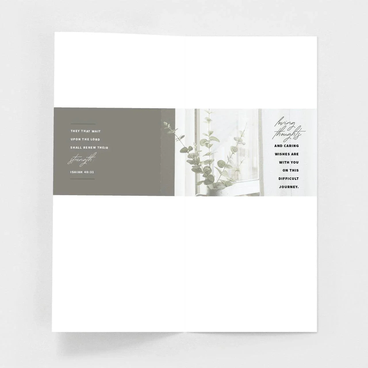 Behind the Scenes Get Well Greeting Card - Behind the Scenes Get Well Greeting Card - Default Title - Salt and Honey