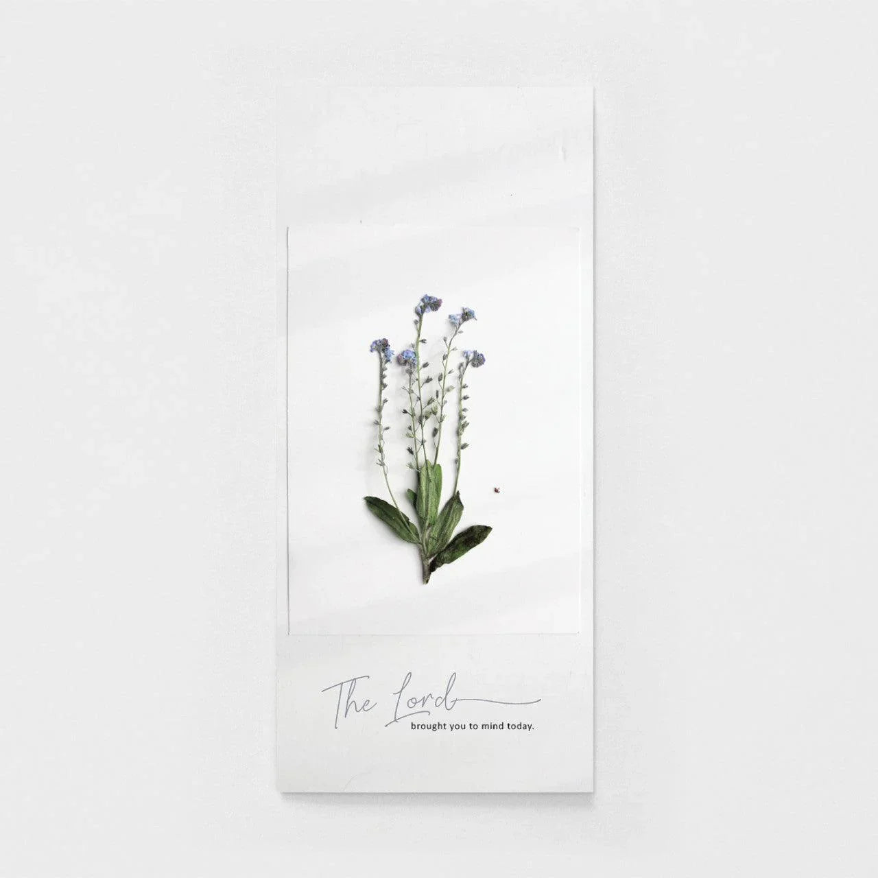 Brought to Mind "Just Because" Greeting Card - Brought to Mind "Just Because" Greeting Card - Default Title - Salt and Honey