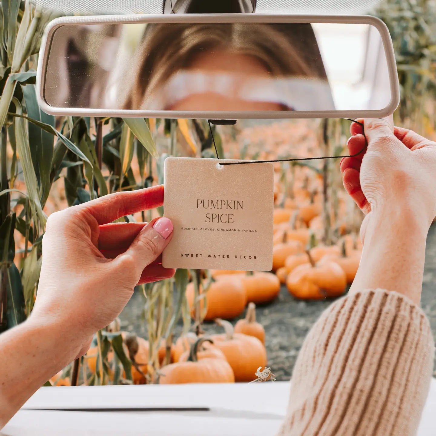 Pumpkin Spice Air Freshener