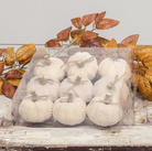 cream fall decor