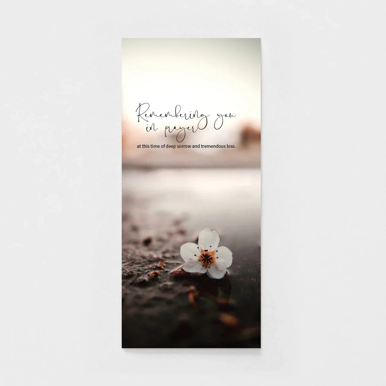 Sympathy greeting card with white flower on wet ground and 'Remembering you in prayer' text.