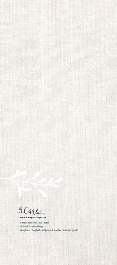 Sweet Tiny Loved Baby - Sweet Tiny Loved Baby - Default Title - Salt and Honey